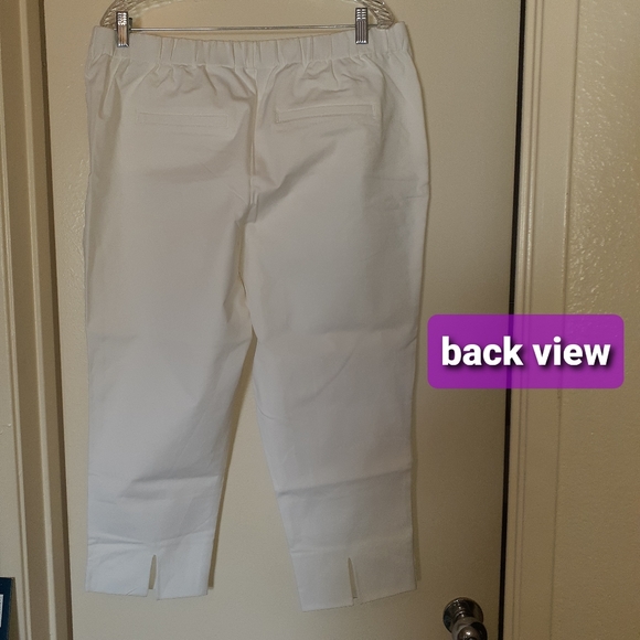Pull up pants. NWOT. 18W. Never worn. Has stains. - Picture 5 of 8